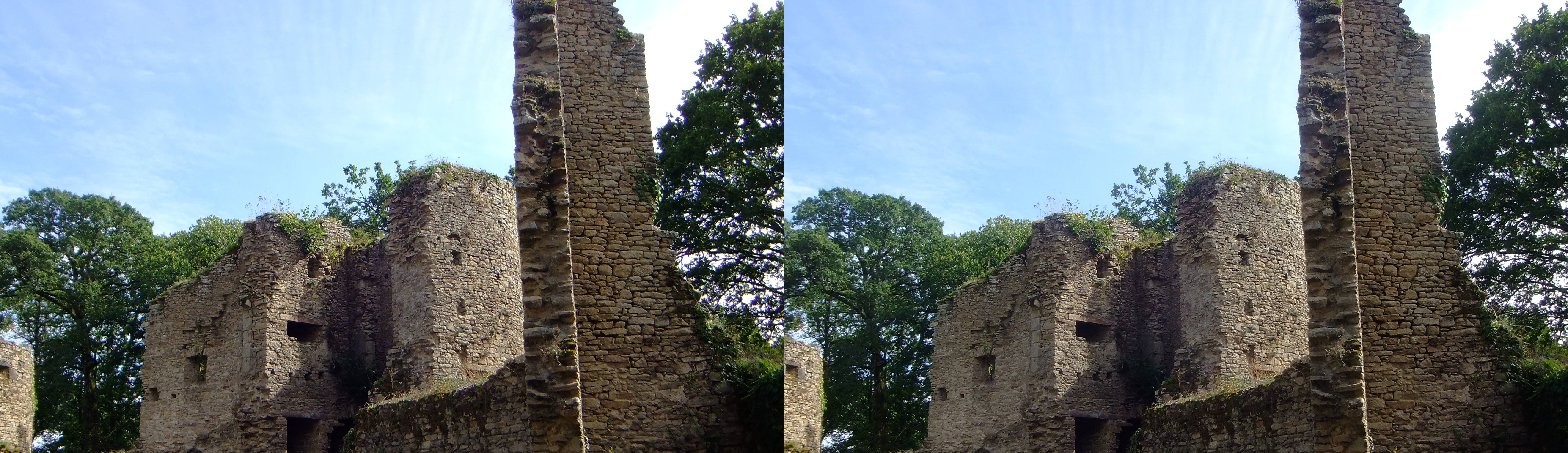 Château de Ranrouët