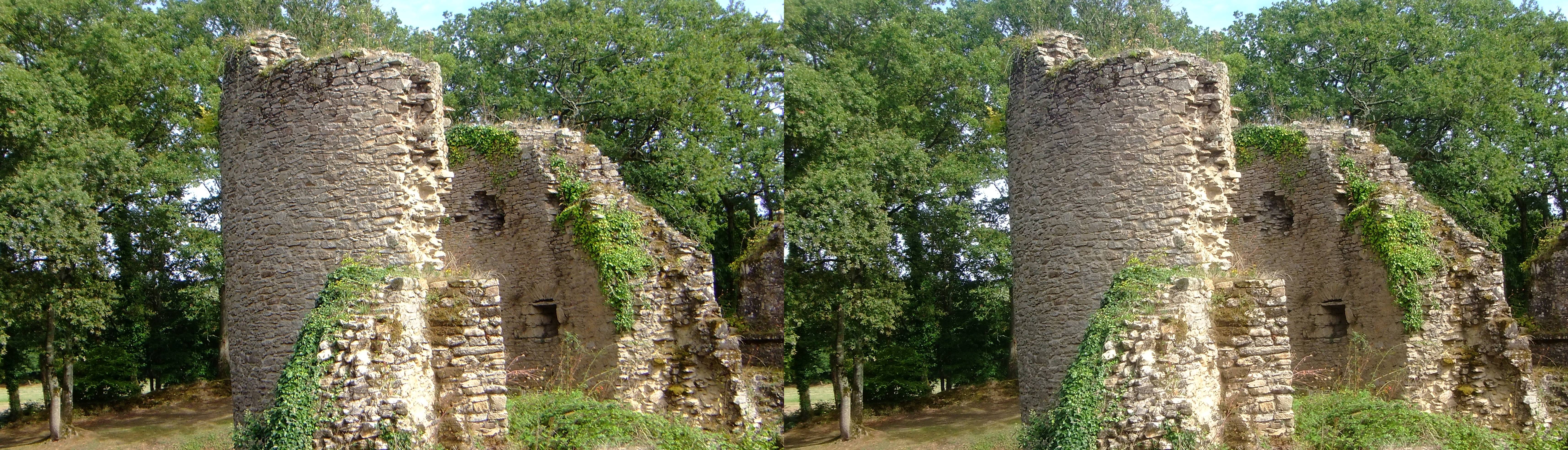 Château de Ranrouët