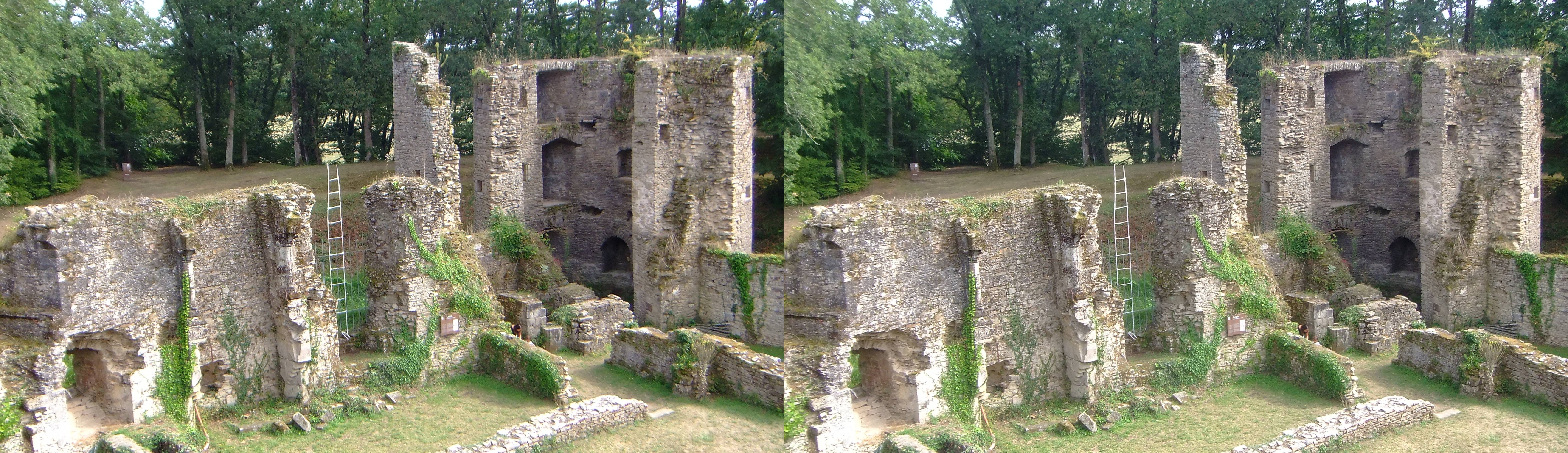 Château de Ranrouët