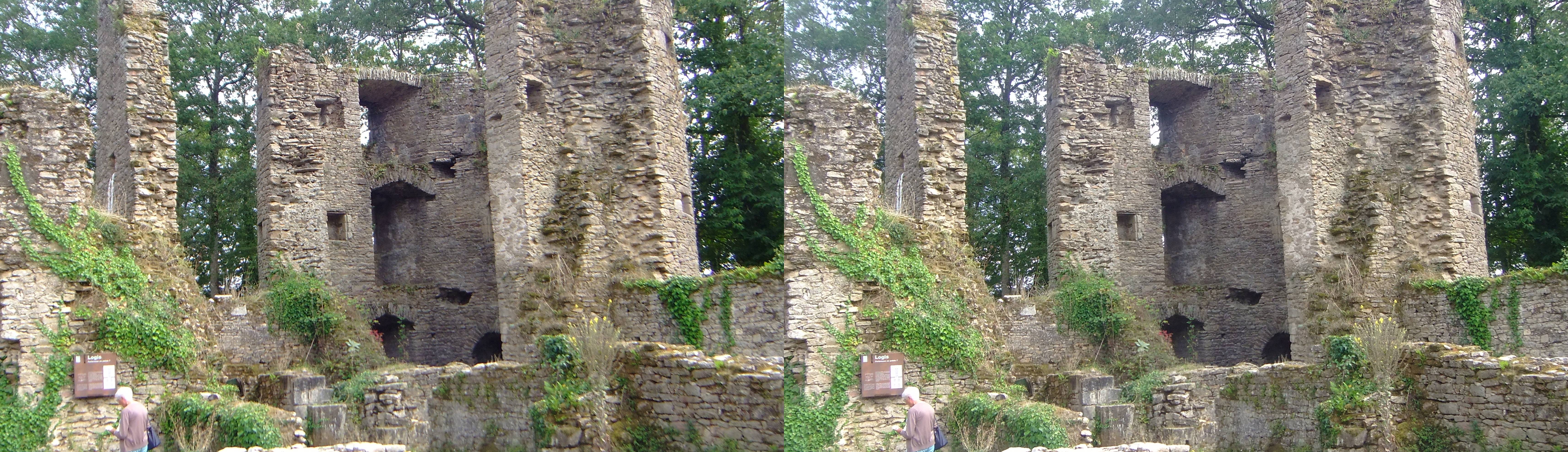 Château de Ranrouët