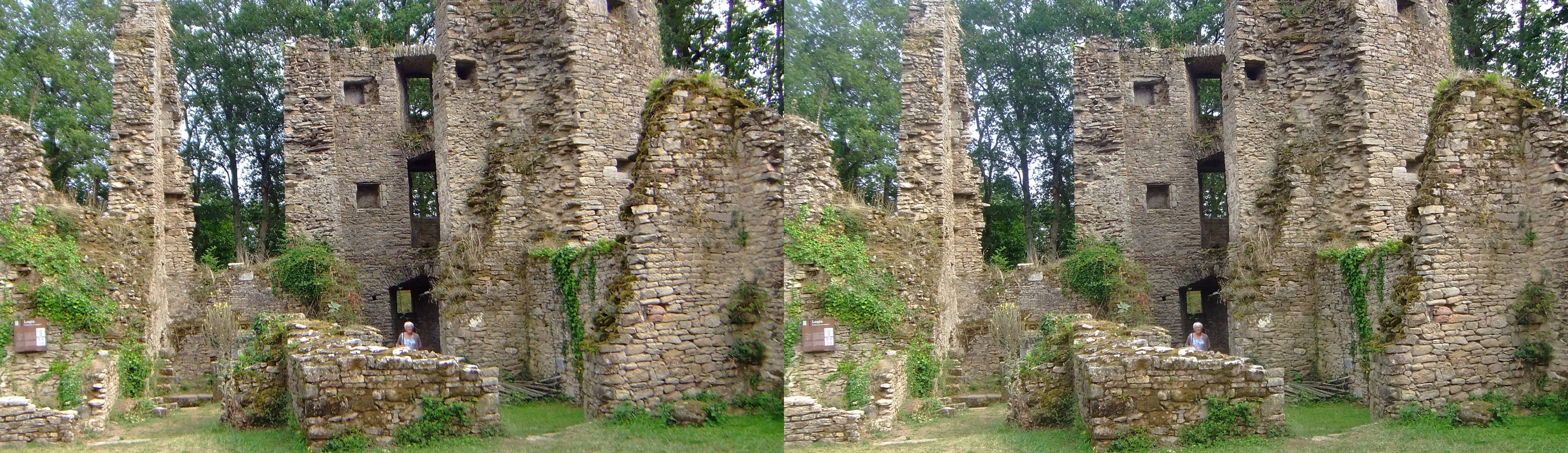 Château de Ranrouët