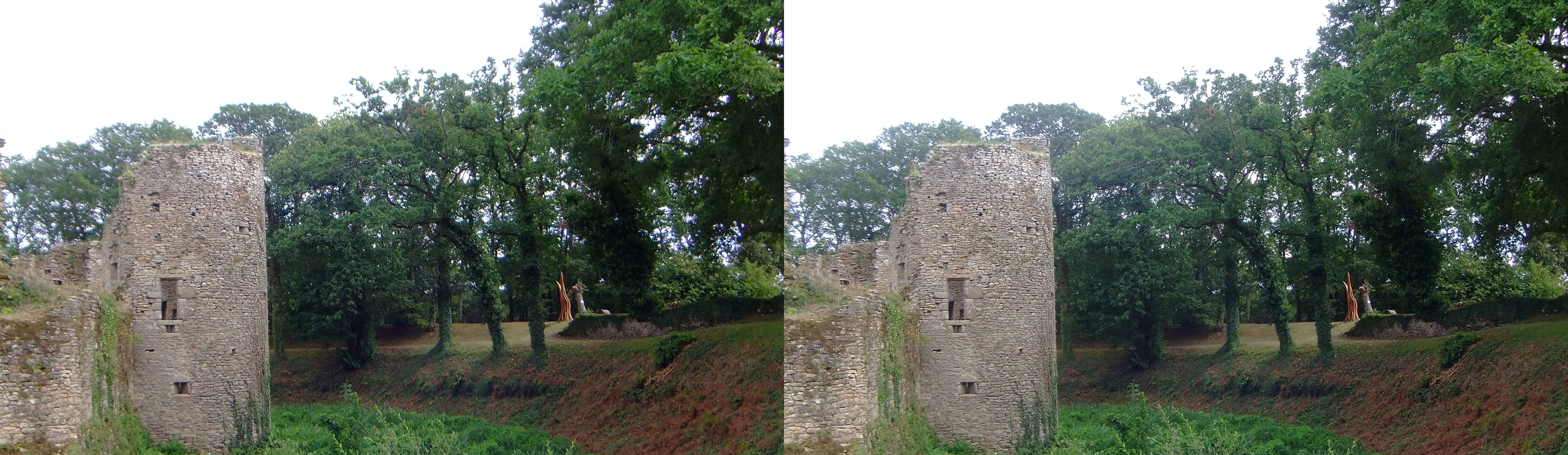 Château de Ranrouët