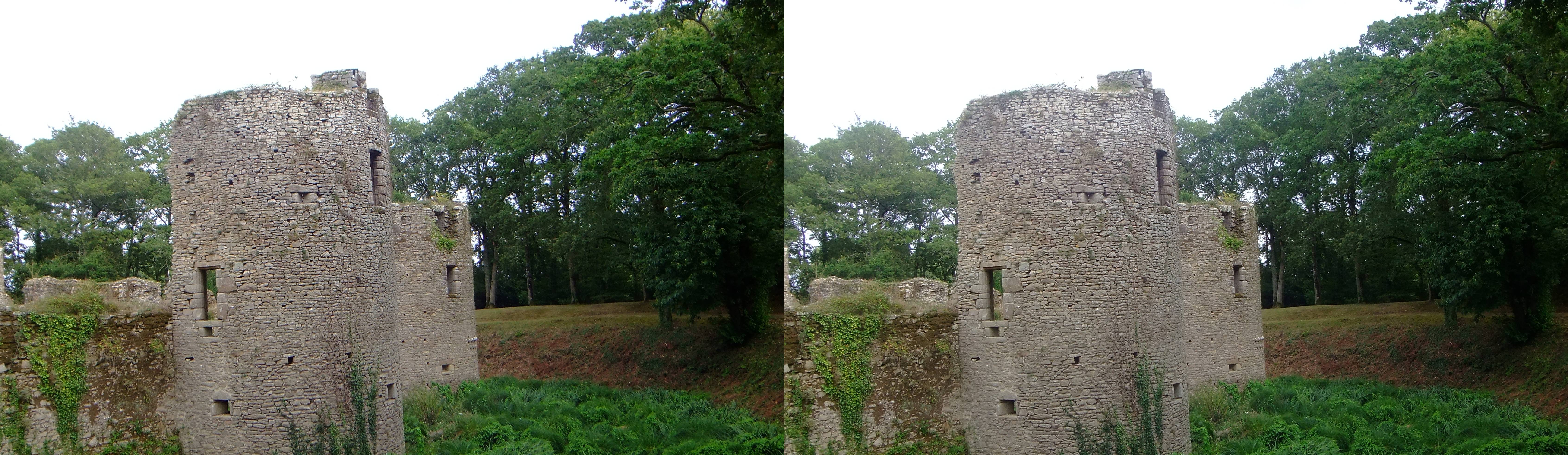 Château de Ranrouët