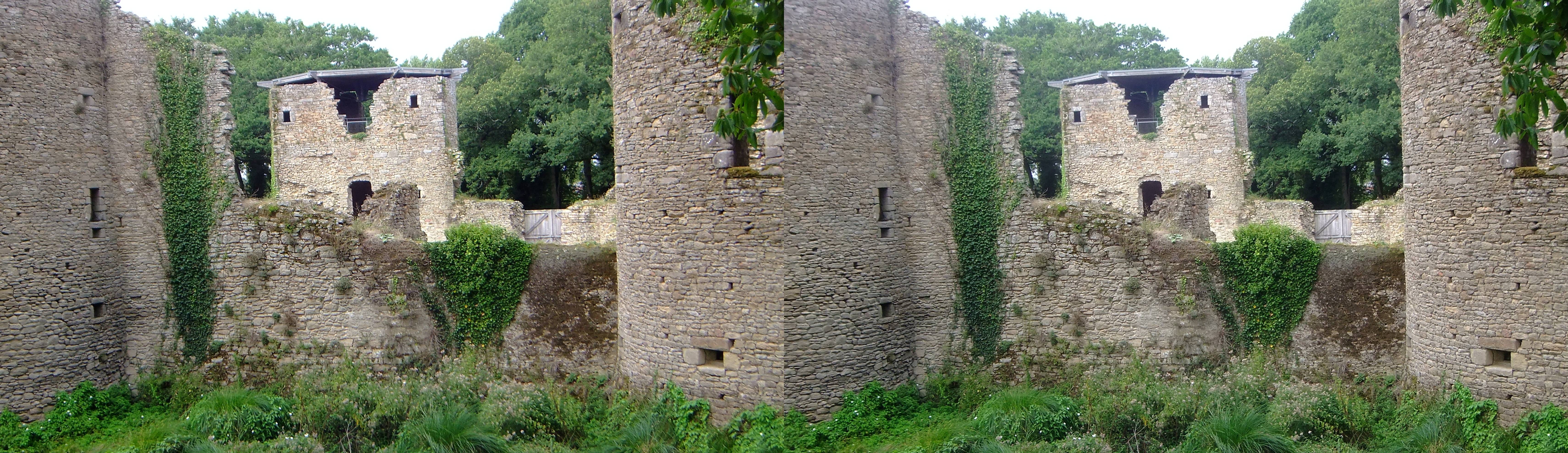 Château de Ranrouët