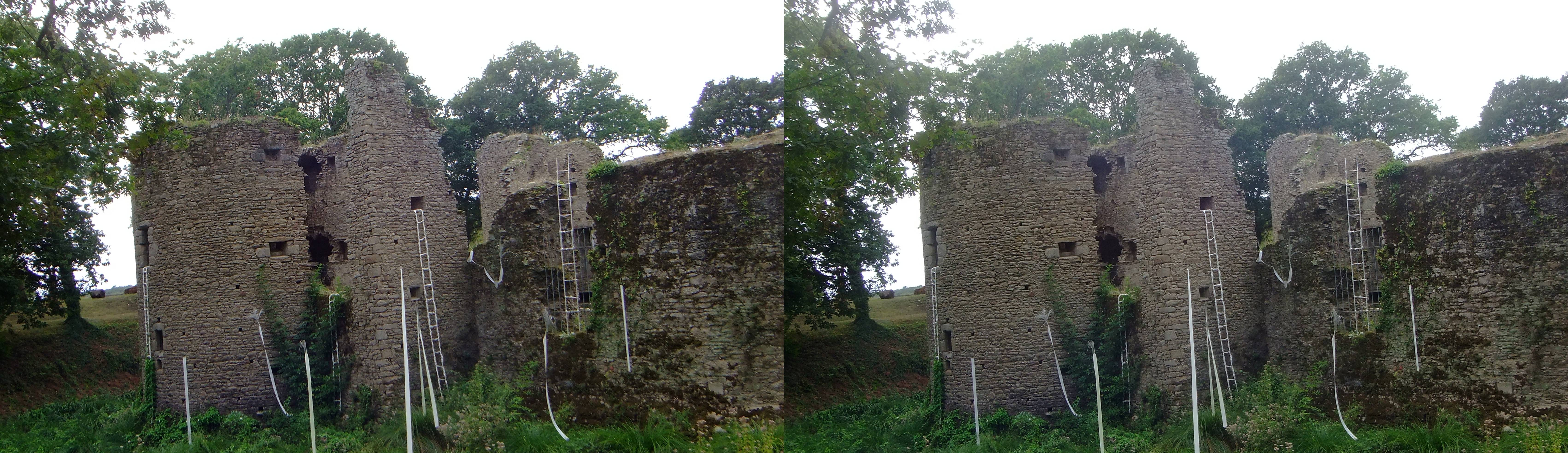Château de Ranrouët