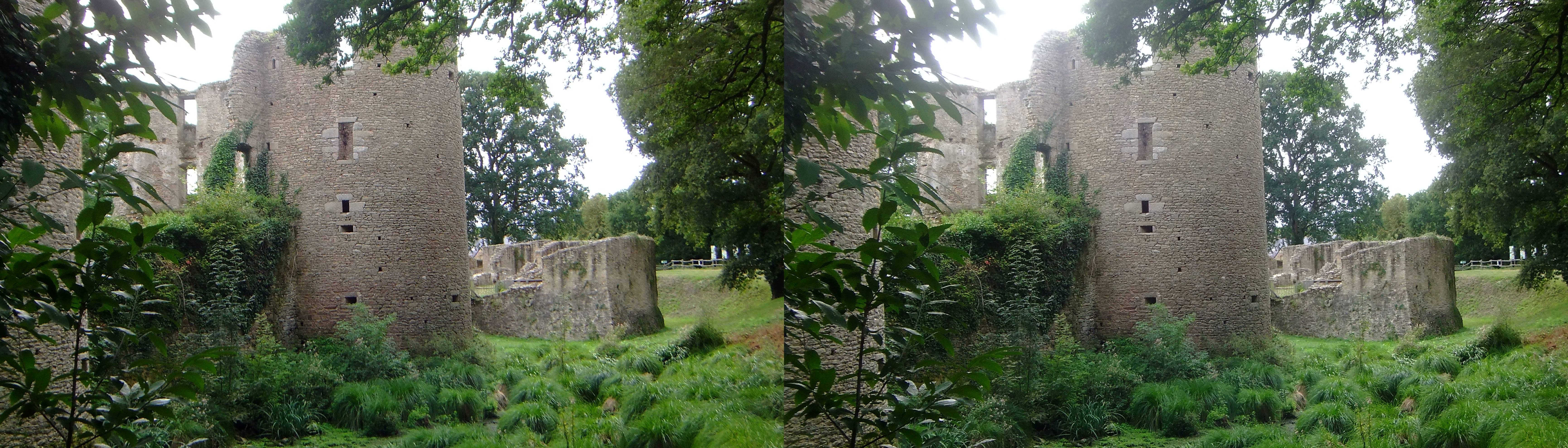 Château de Ranrouët