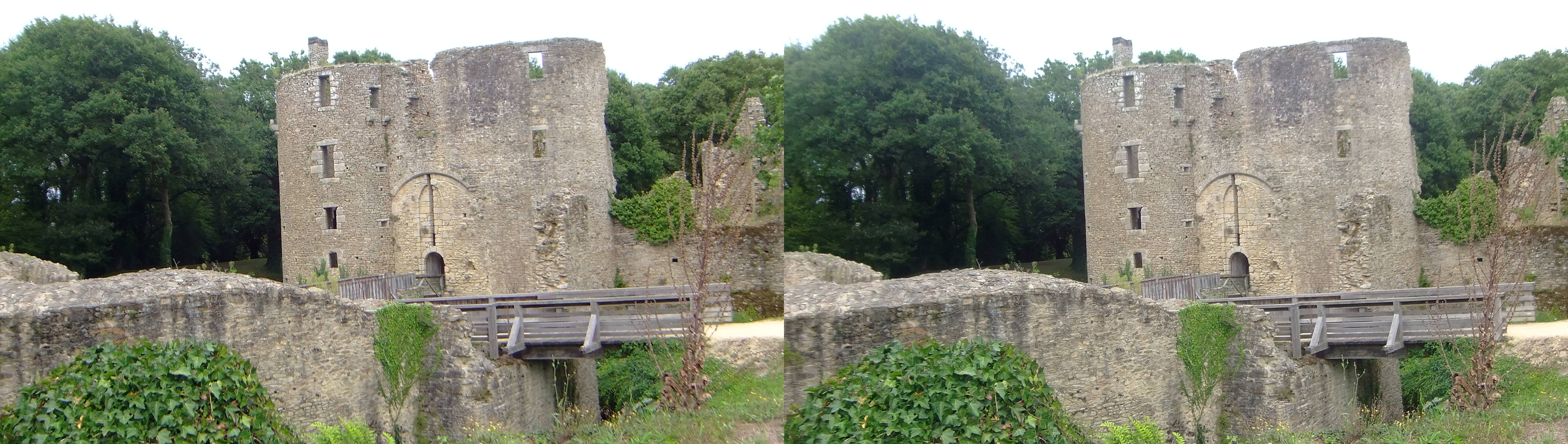 Château de Ranrouët