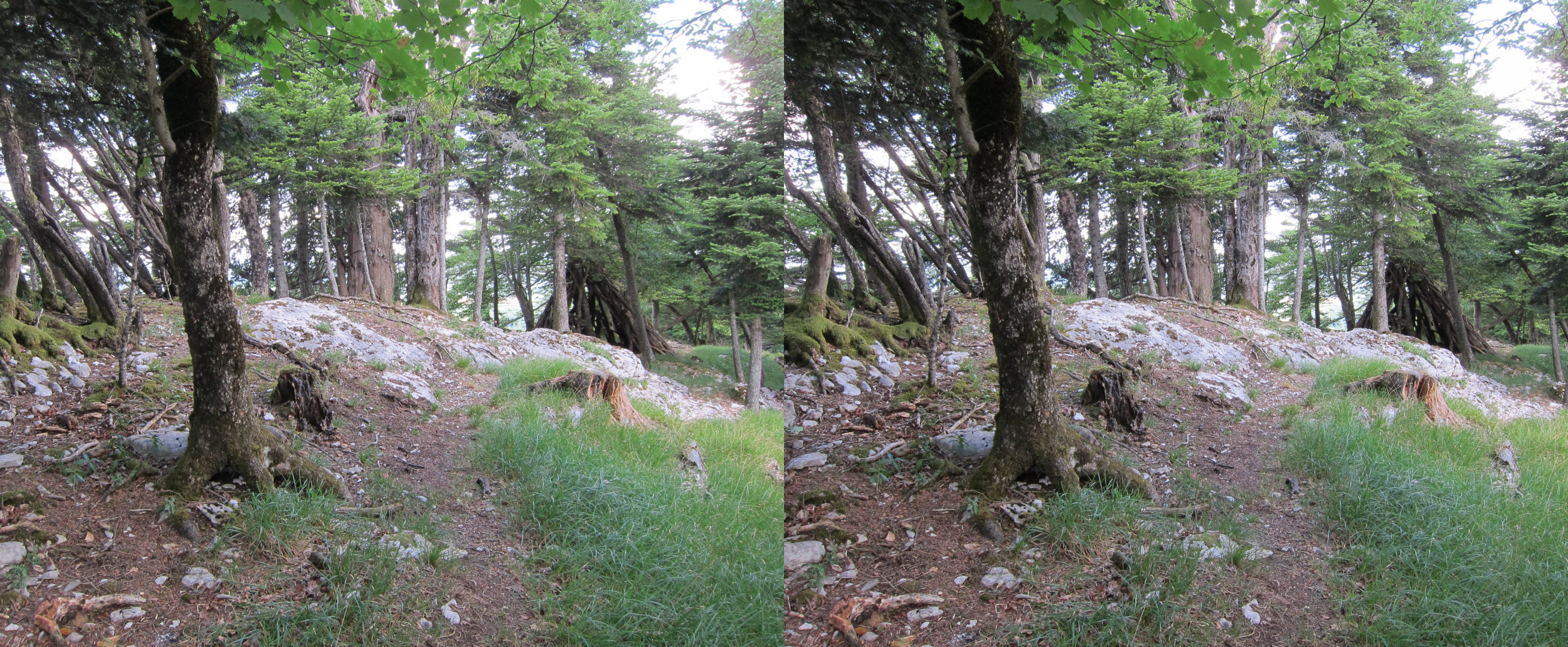 Le long de la crête vers le belvédère