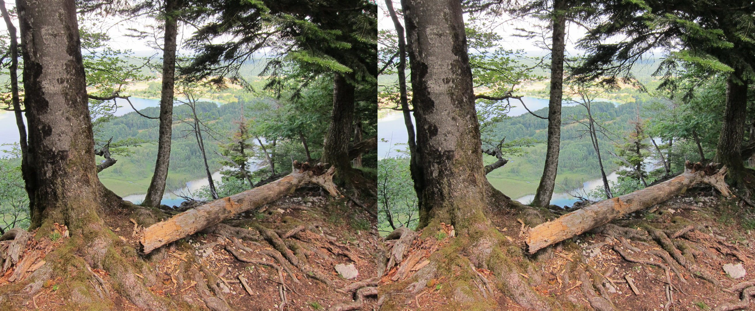 Crête vers le belvédère des quatre lacs
