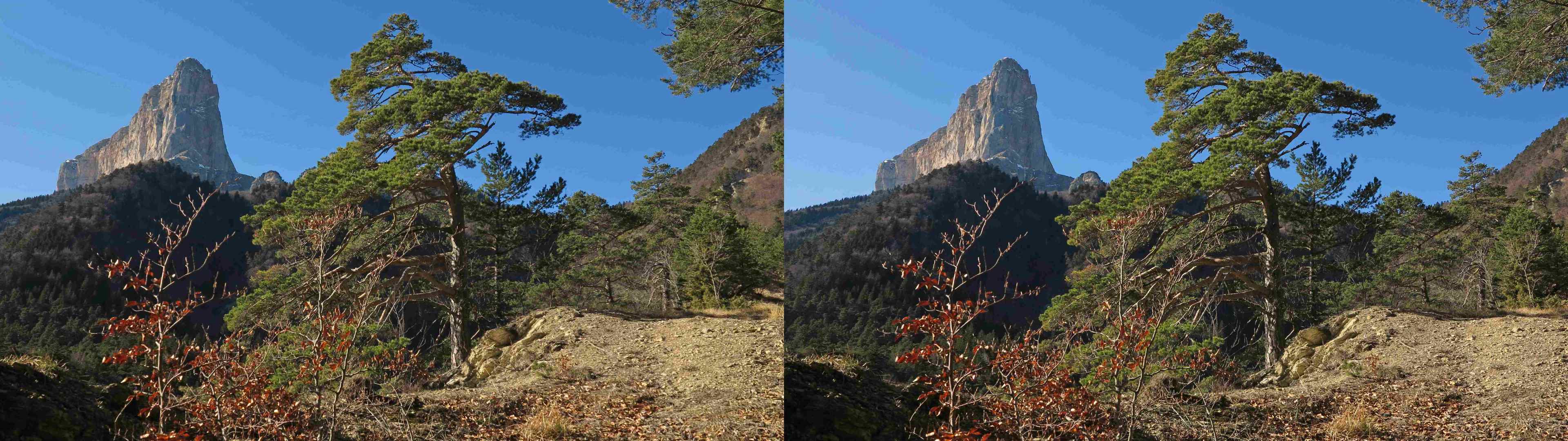 Gaudissart