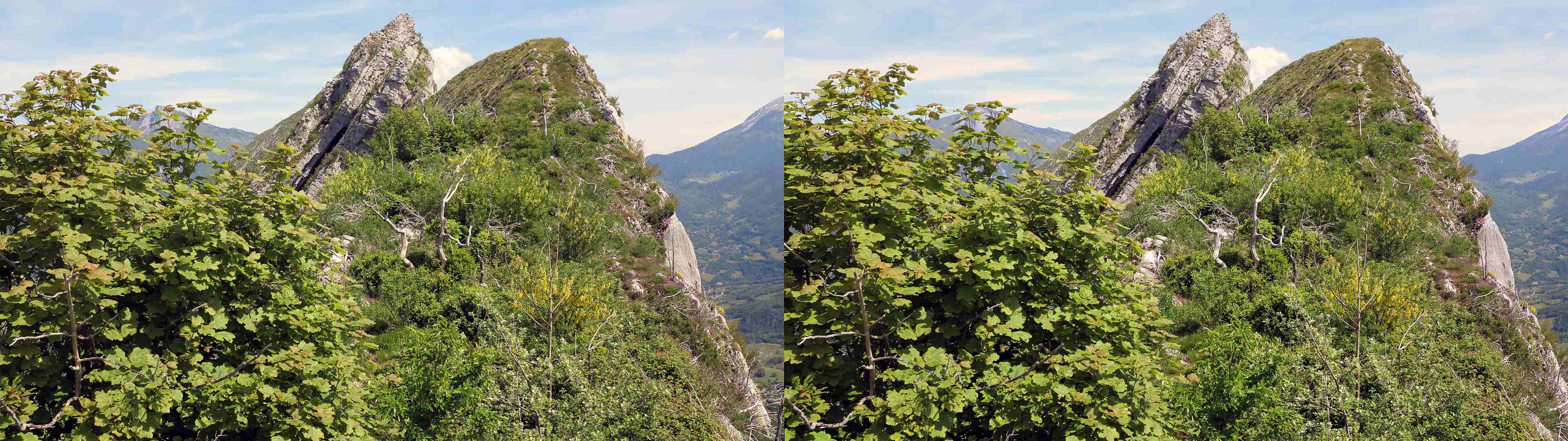 Vue sur les arêtes.