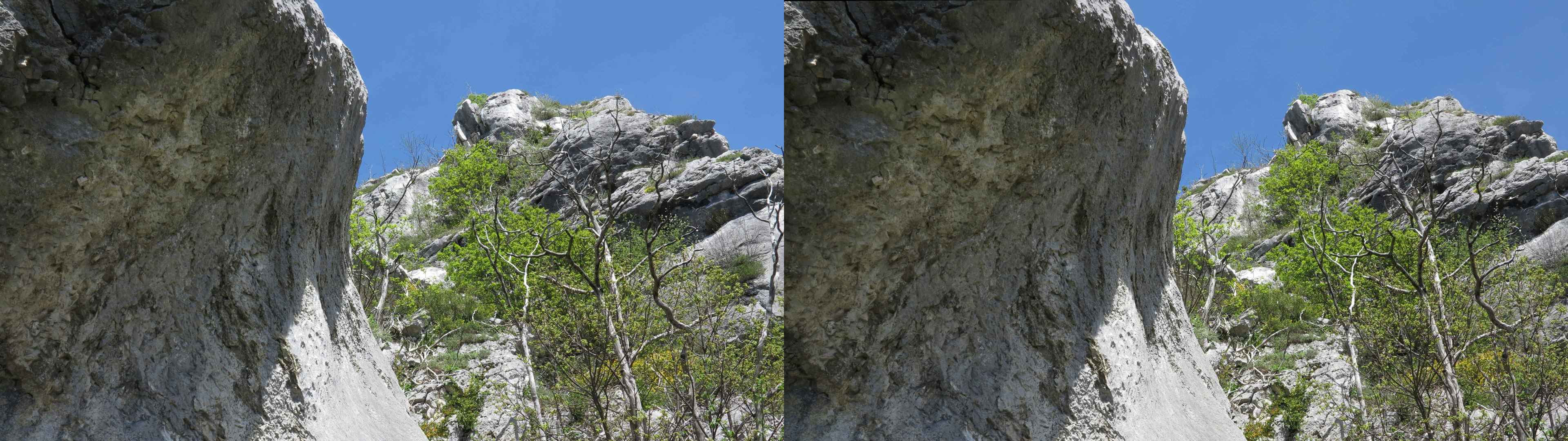 L'arête des écureuils.
