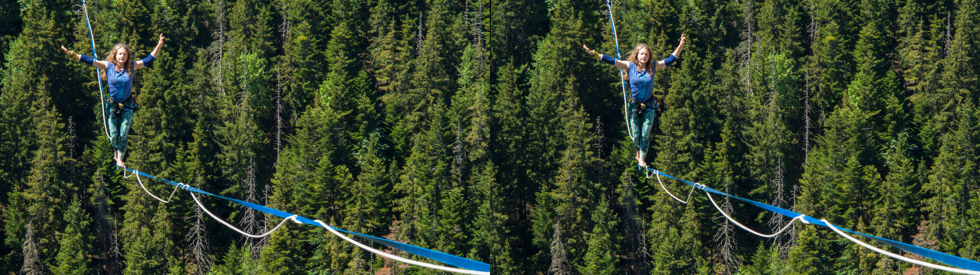 Alisa est sur la ligne au dessus des bois.