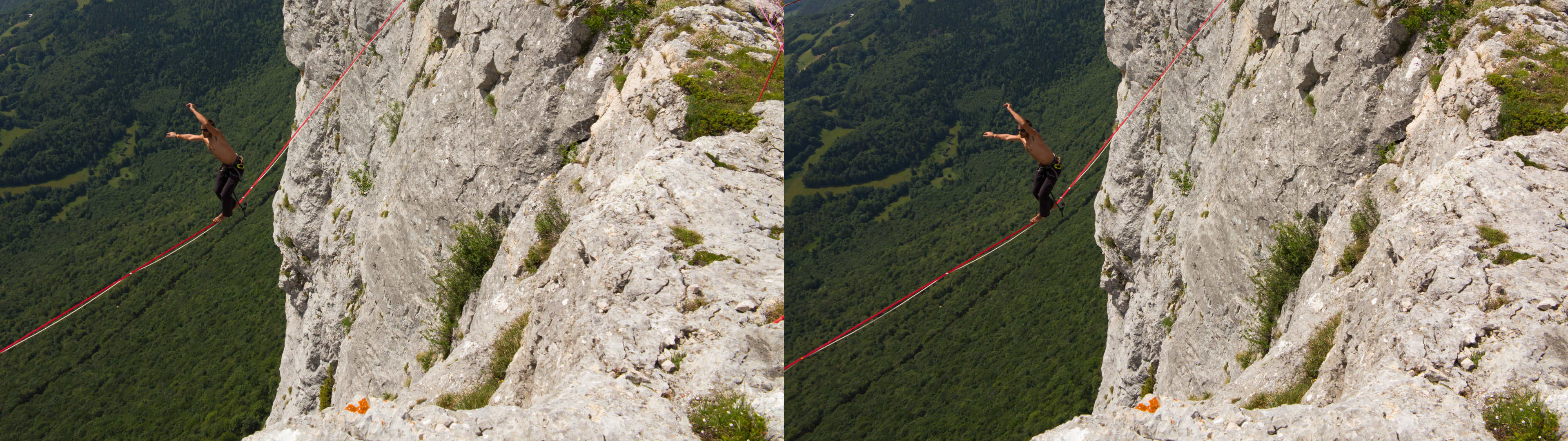 La forêt sous Cédric Bosch est à 350m.