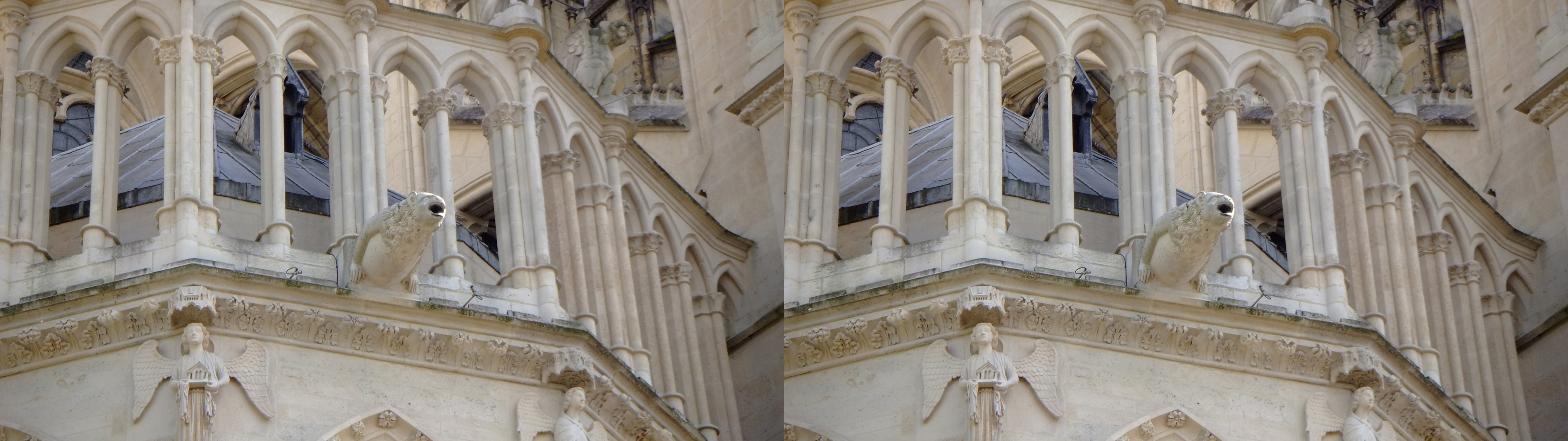 Cathedrale ND, le chevet, détails architecturaux