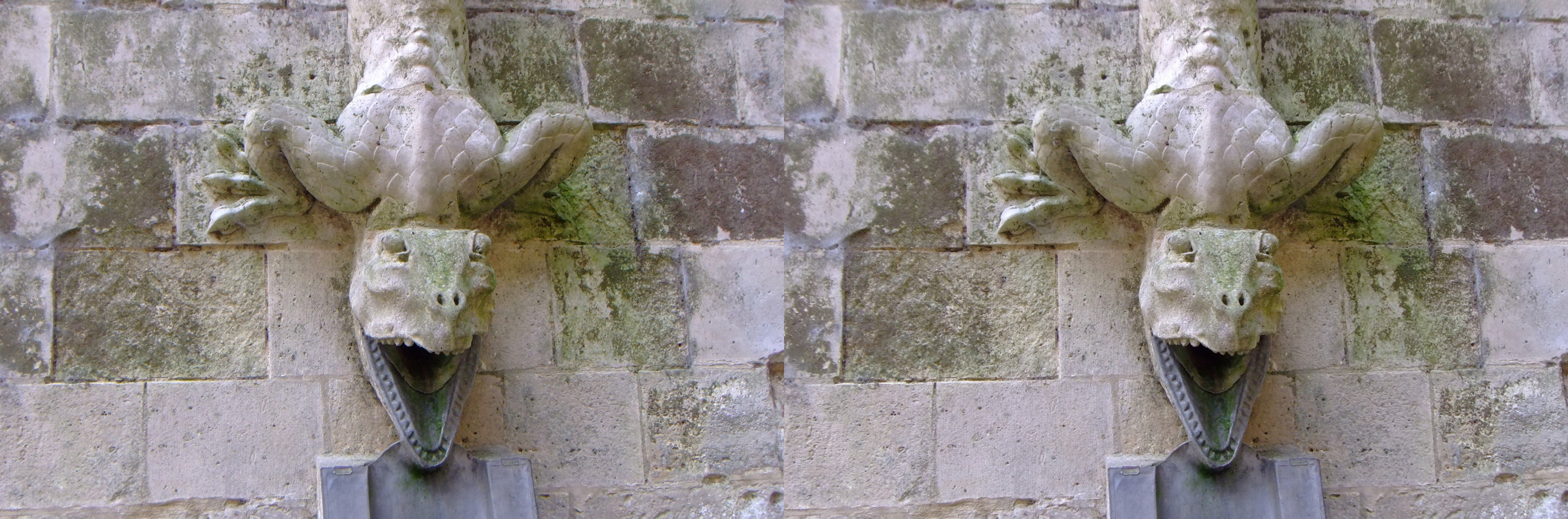 DSCF1438