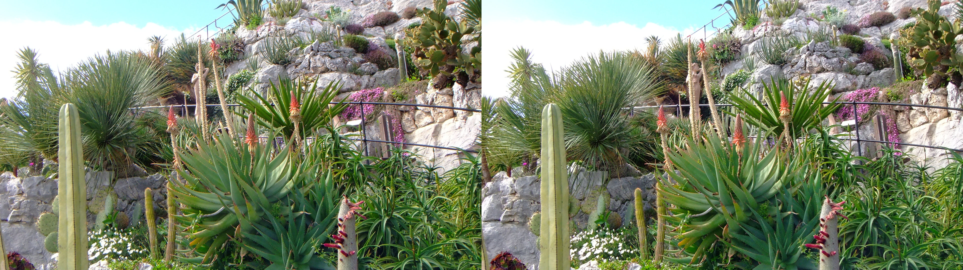 chemin bordé d'une barrière parmi les plantes