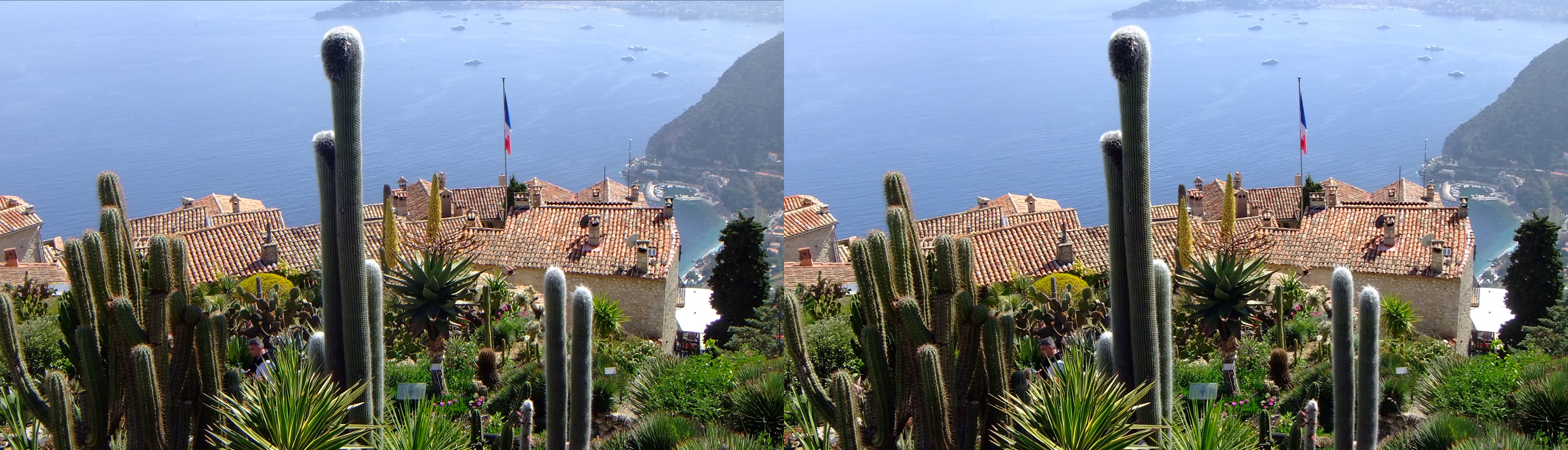vue sur le port et le Cap Roux, au loin le Cap Ferrat