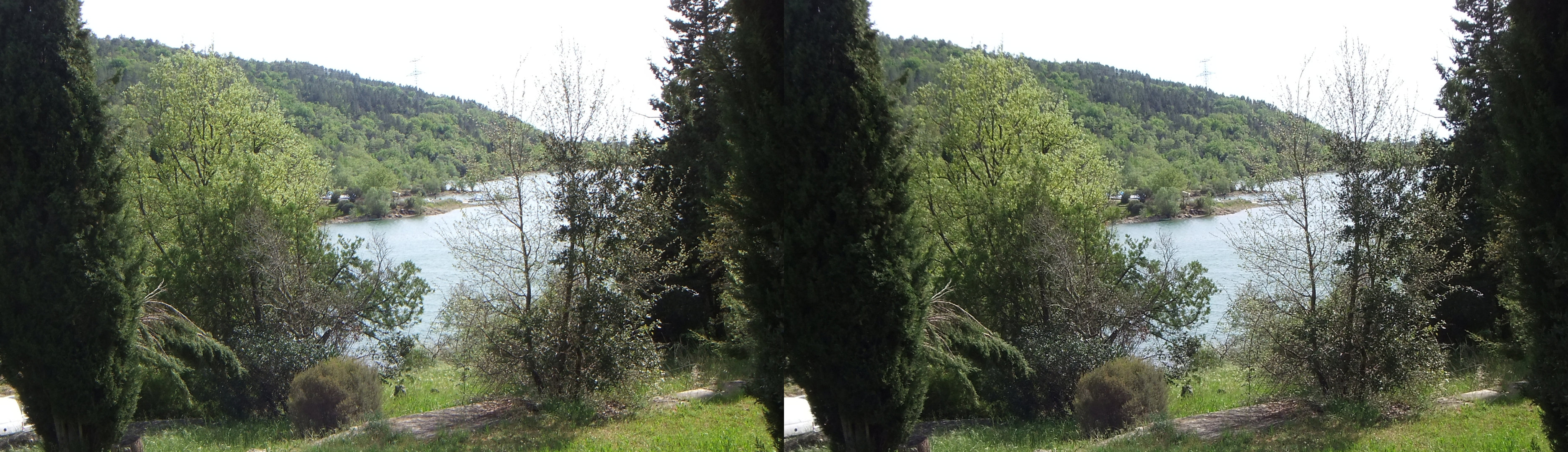 vue du lac à travers les arbres
