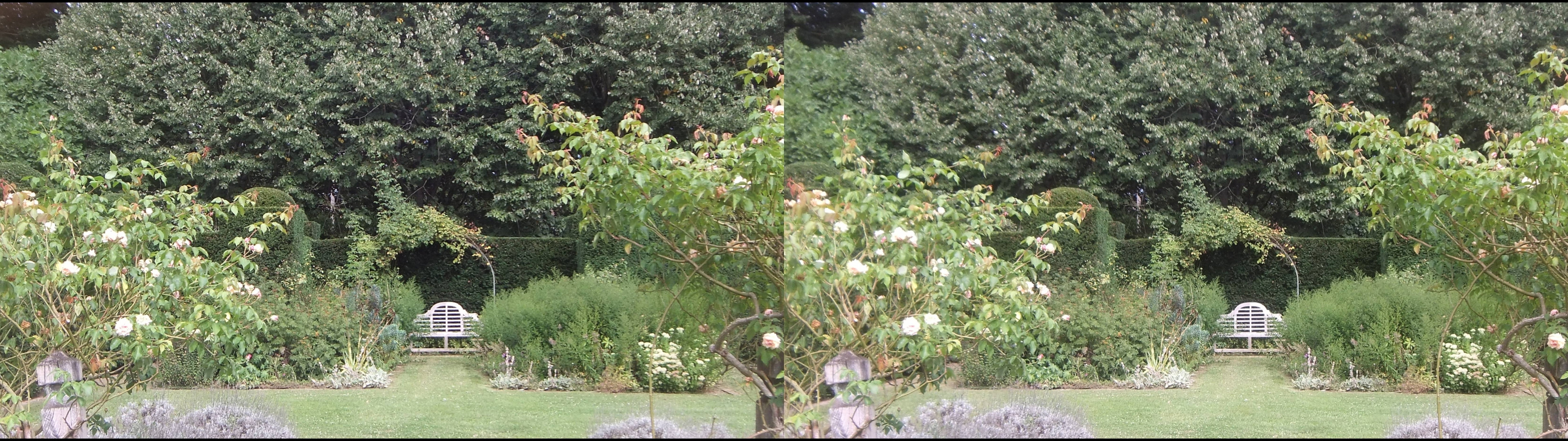 Dans le parc