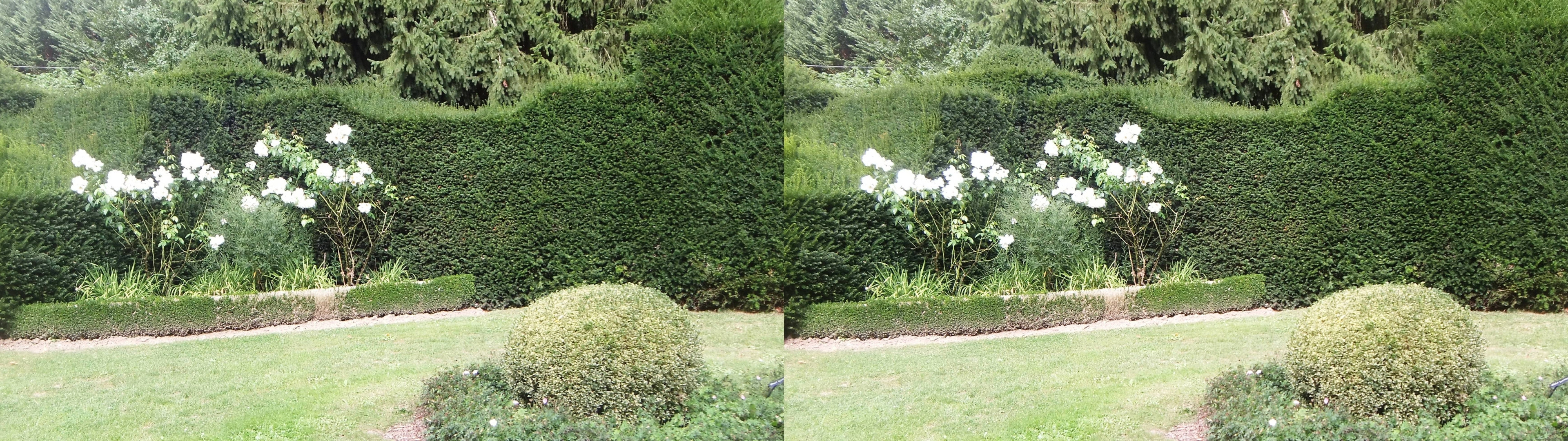 Dans le parc