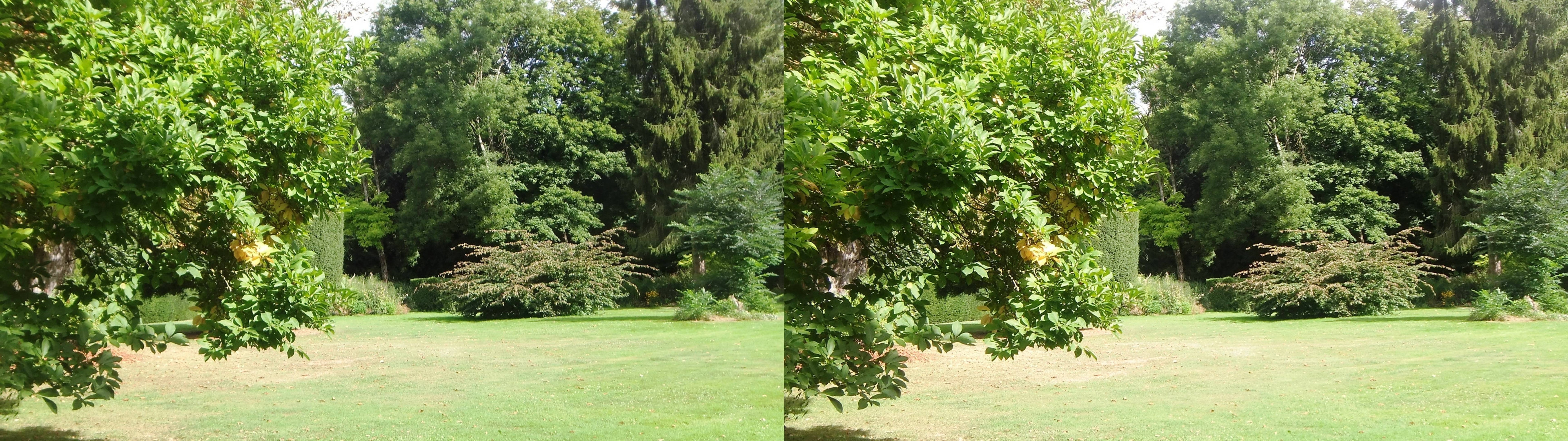 Dans le parc