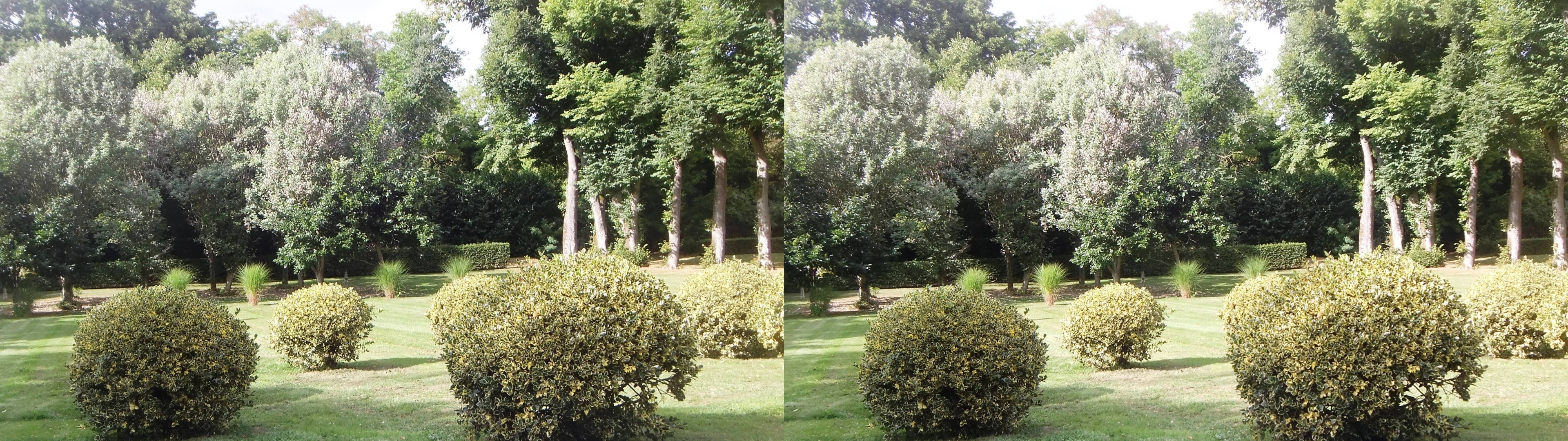 Dans le parc
