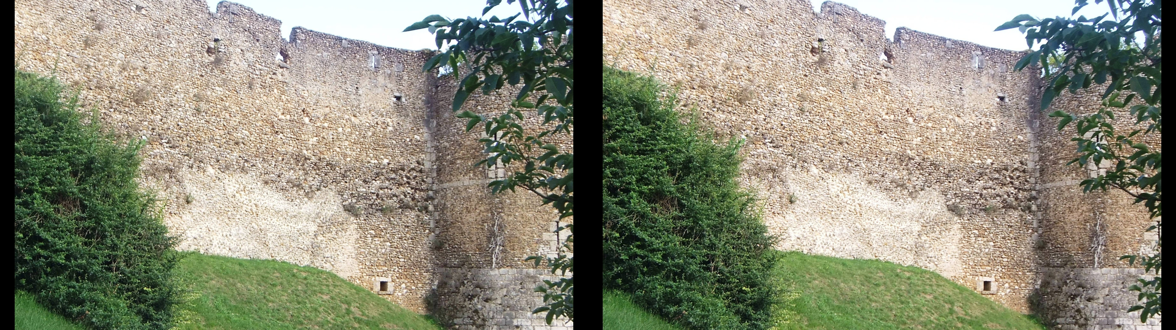 Ruines du château