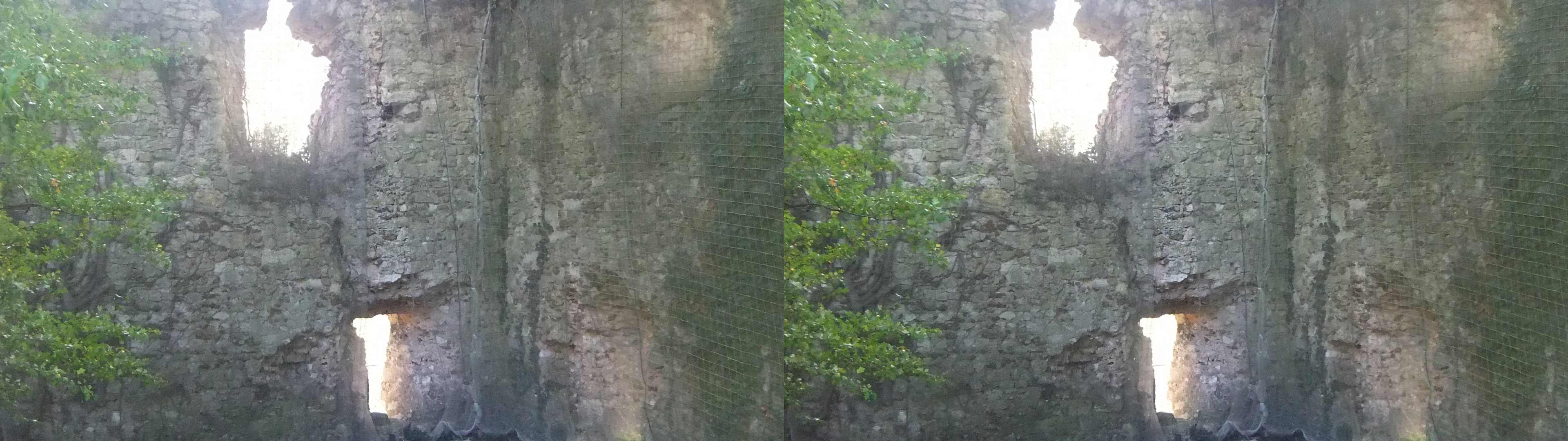 Ruines du château