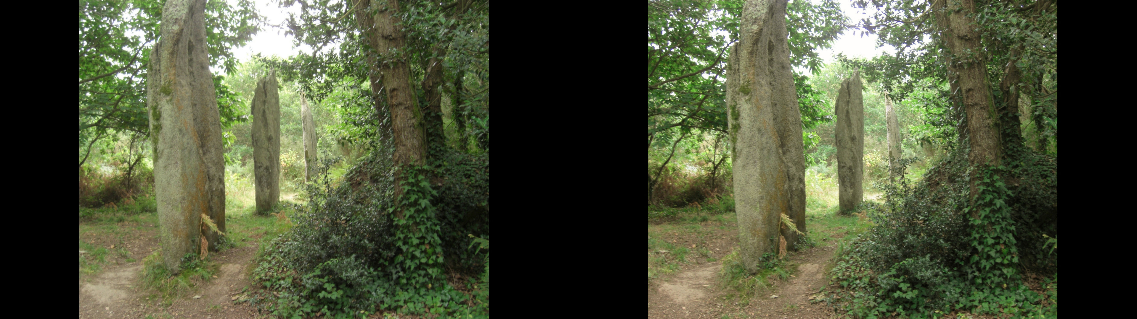 Menhirs