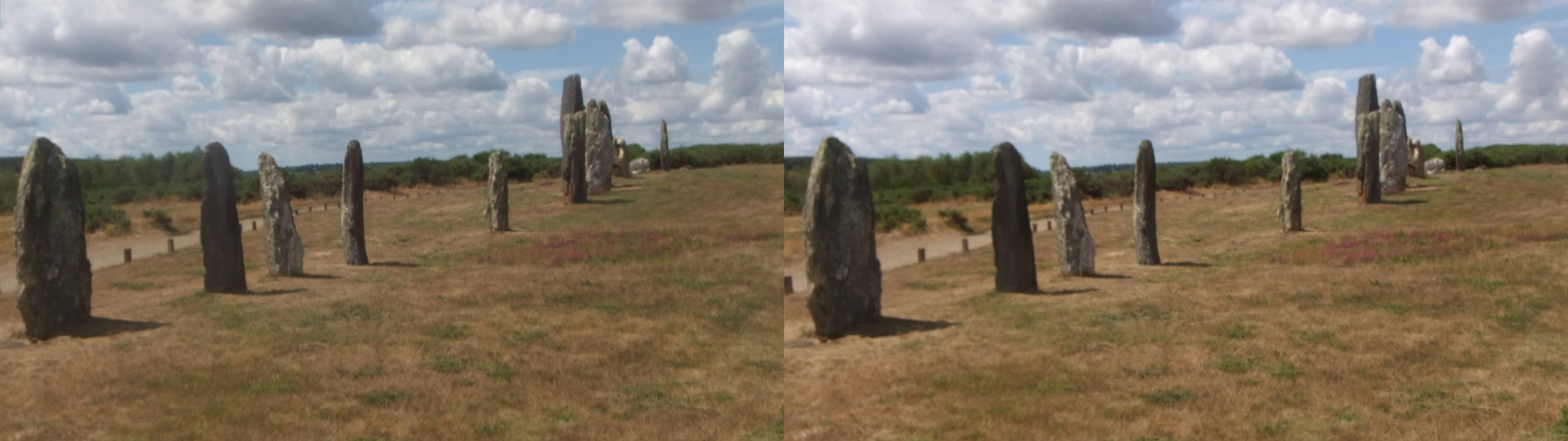 Lande de Cojoux