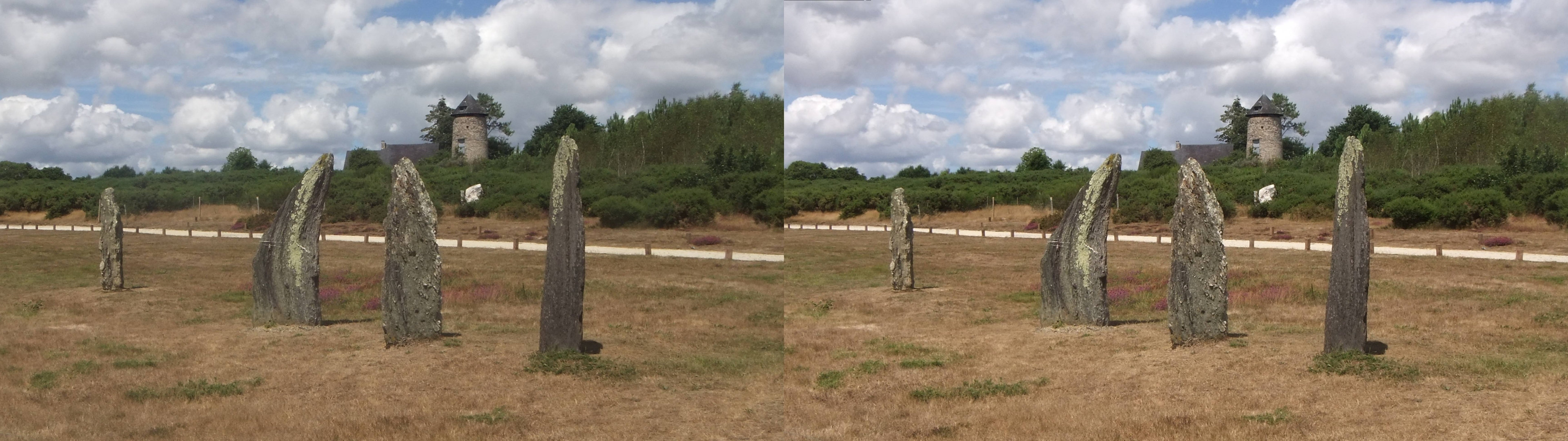 Lande de Cojoux