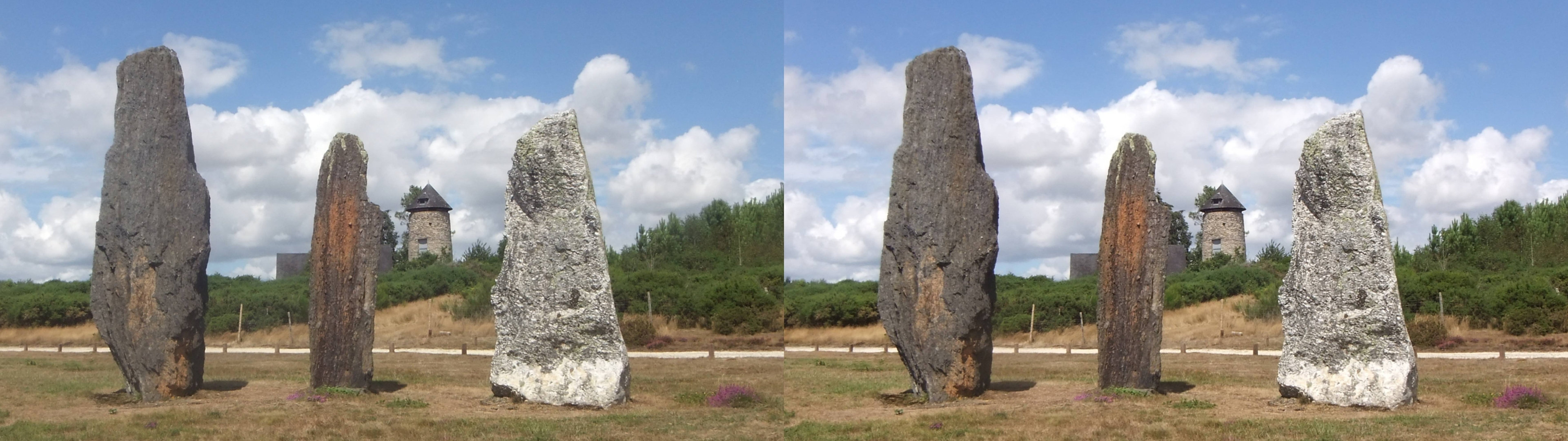 Lande de Cojoux