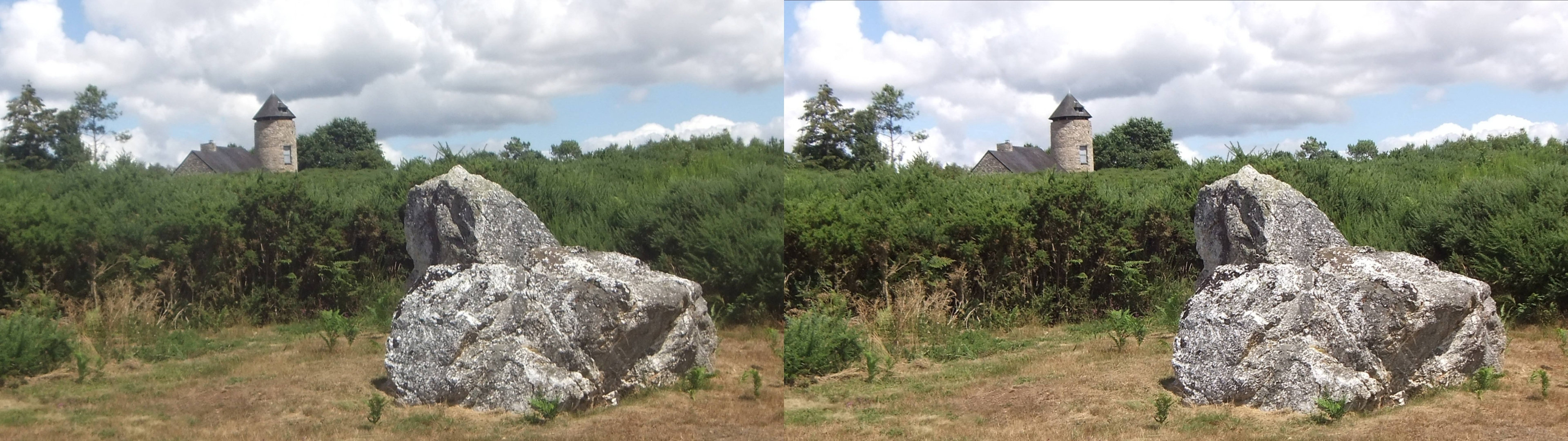 Lande de Cojoux