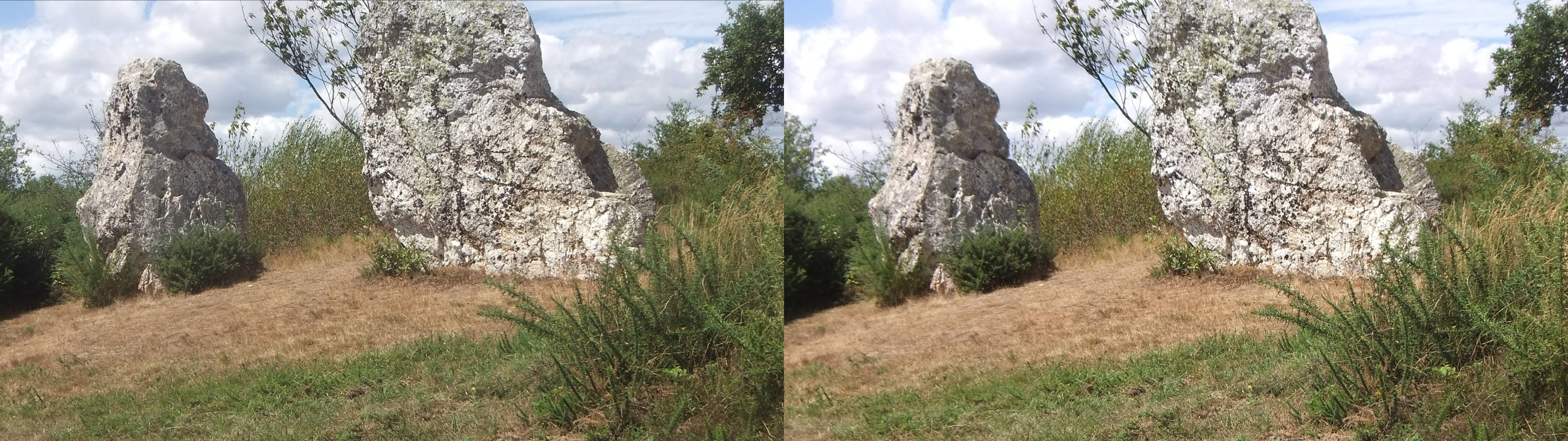 Demoiselles de Cojoux