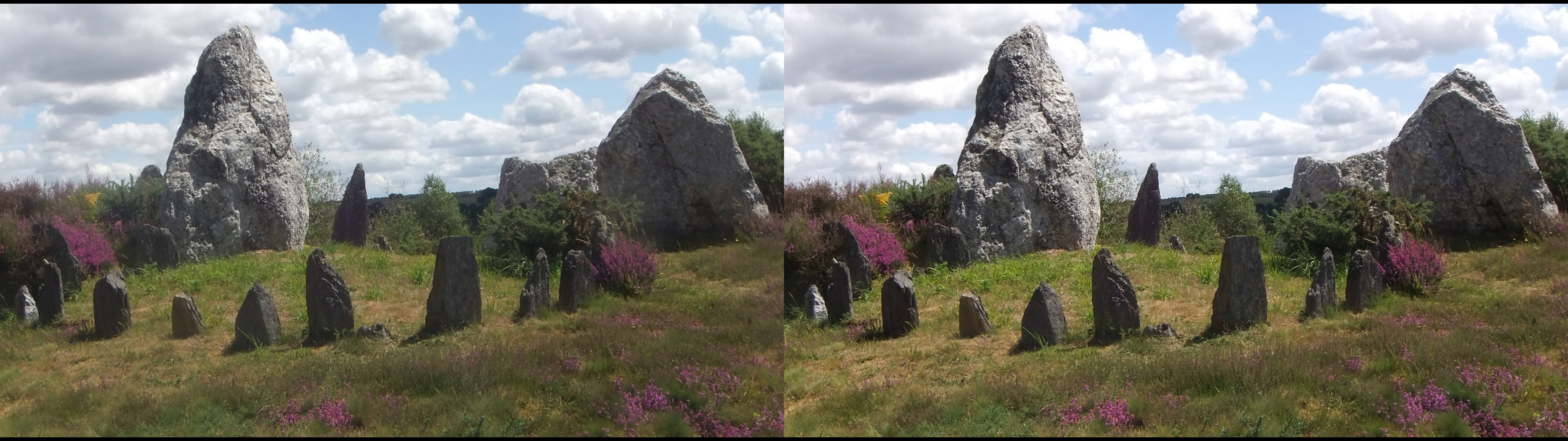 Lande de Cojoux