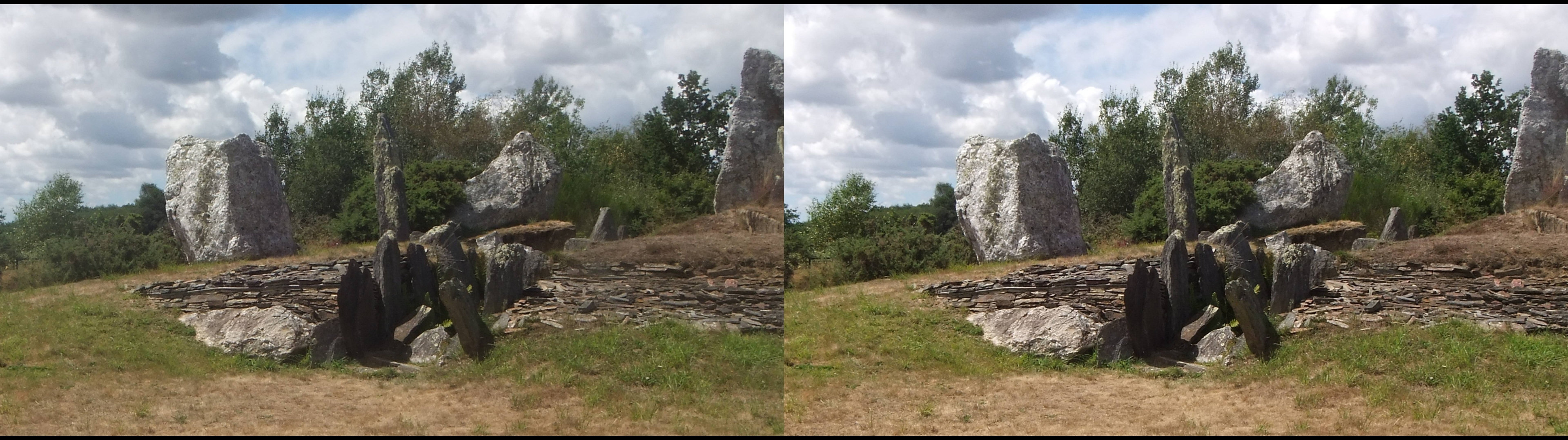 Lande de Cojoux