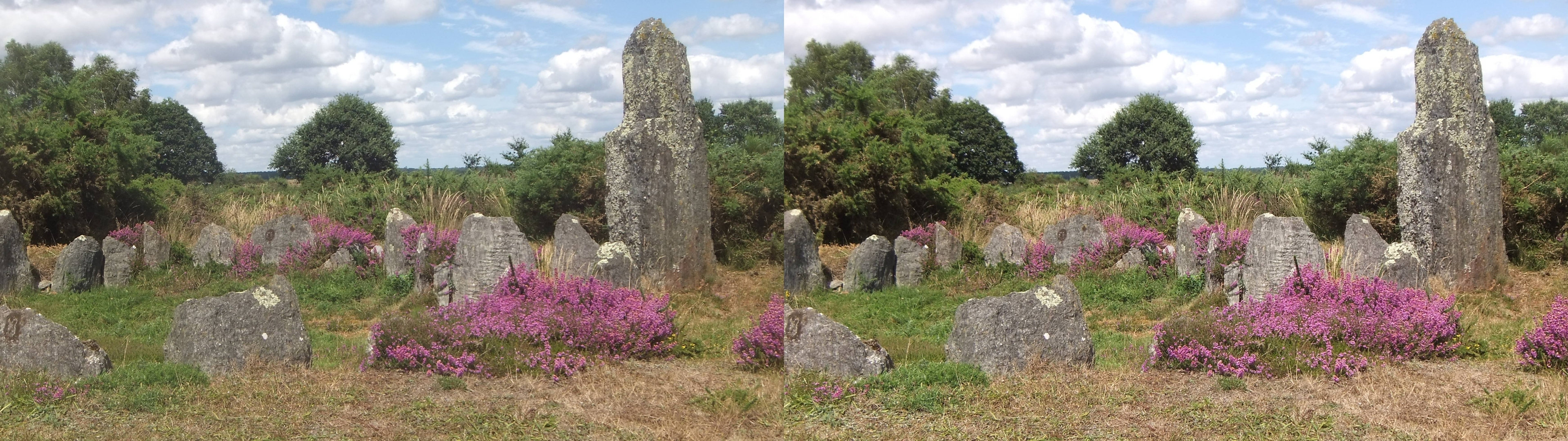Lande de Cojoux