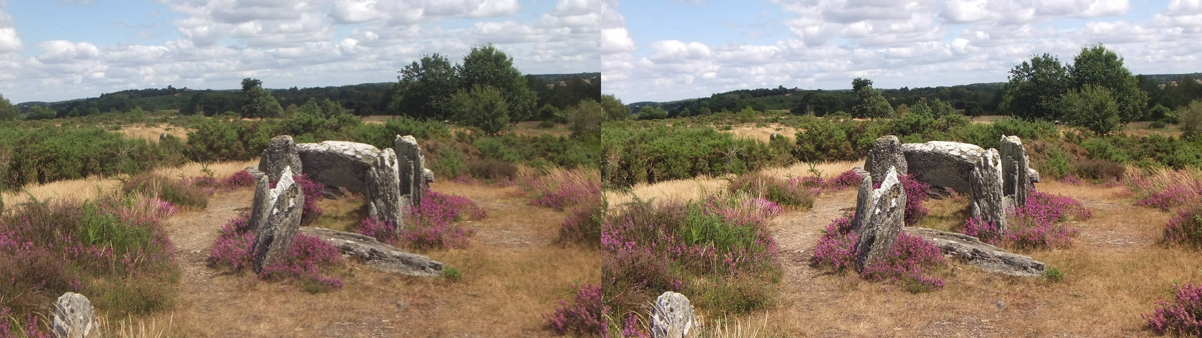 Lande de Cojoux