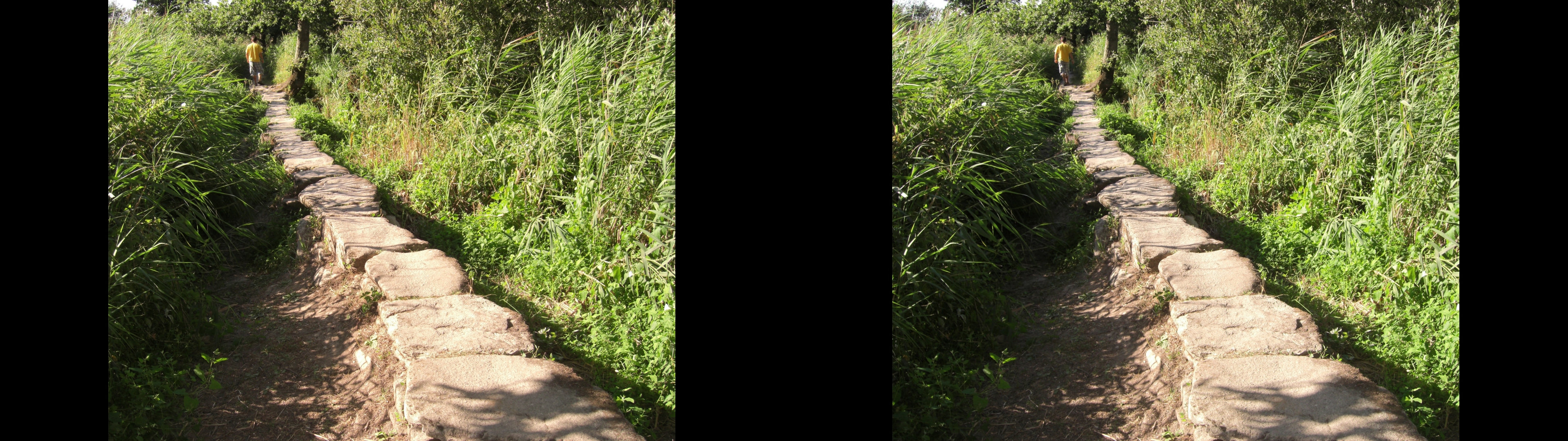 Chemin gaulois