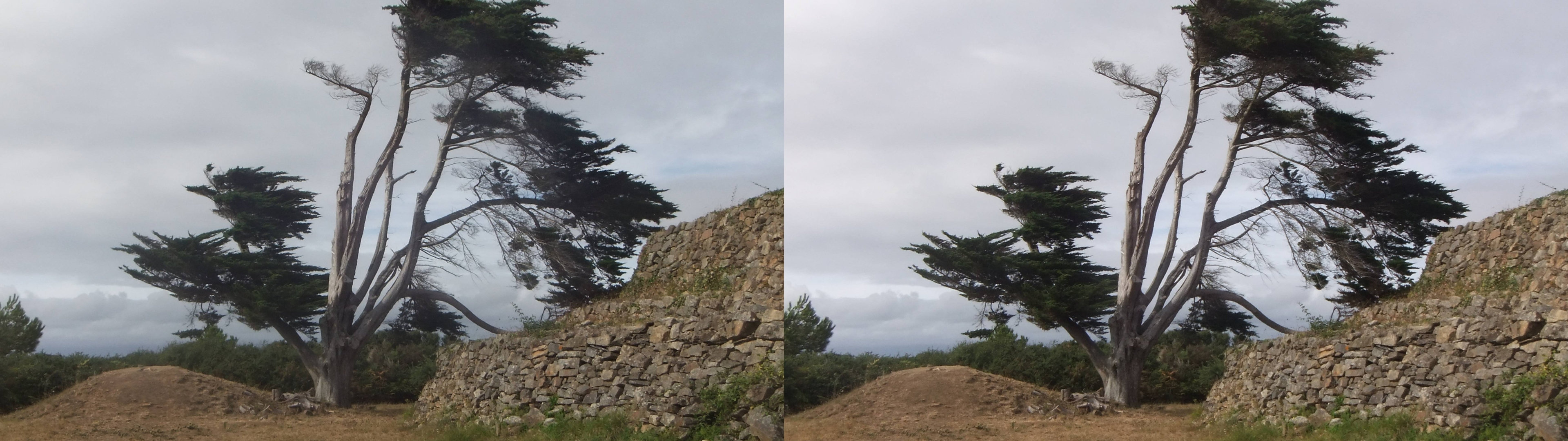 Petit Mont