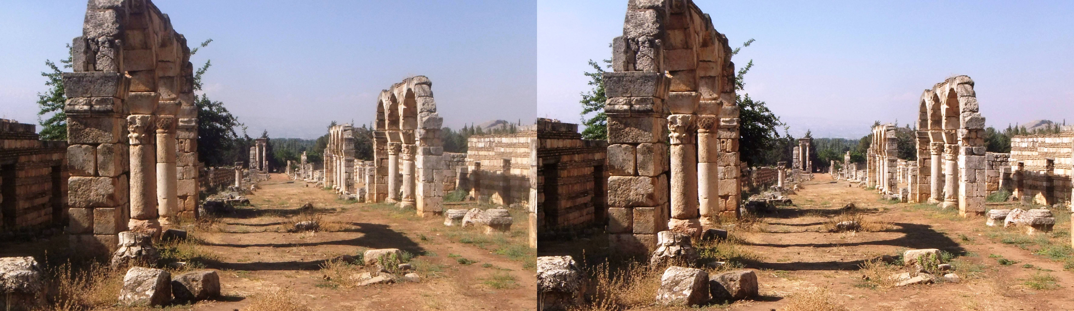 Le cardo maximus