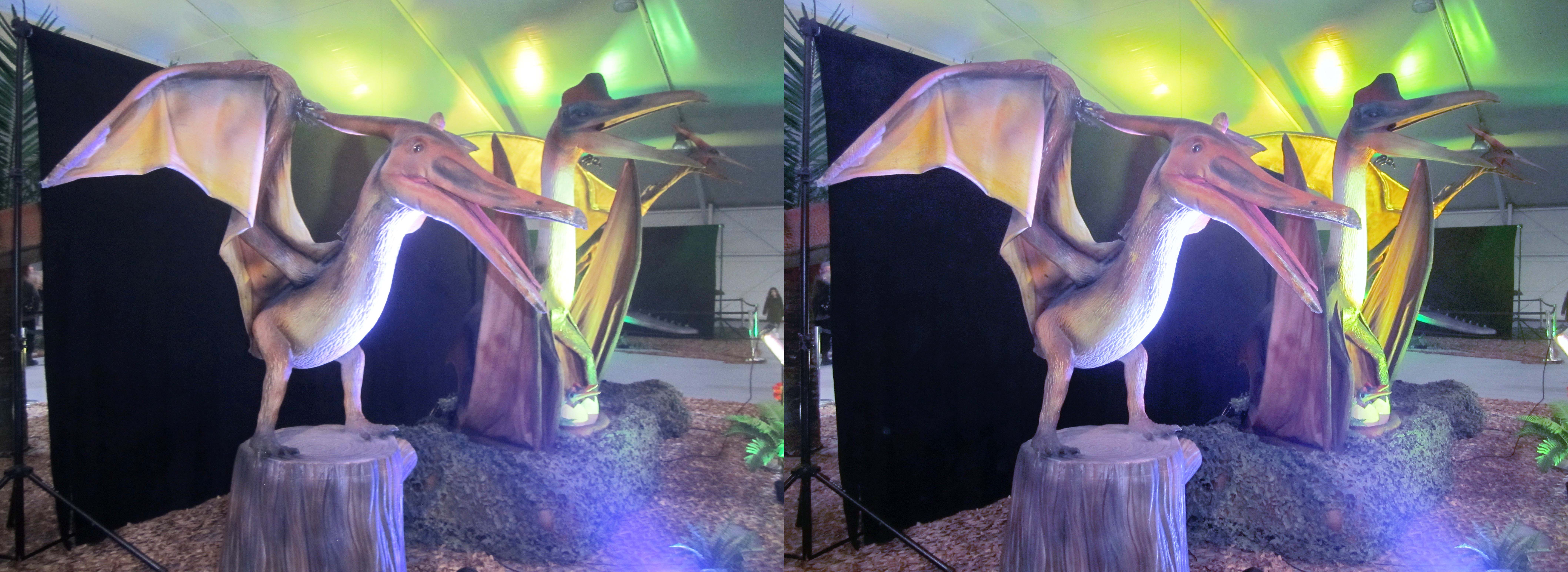 le_monde_des_dinosaures_09