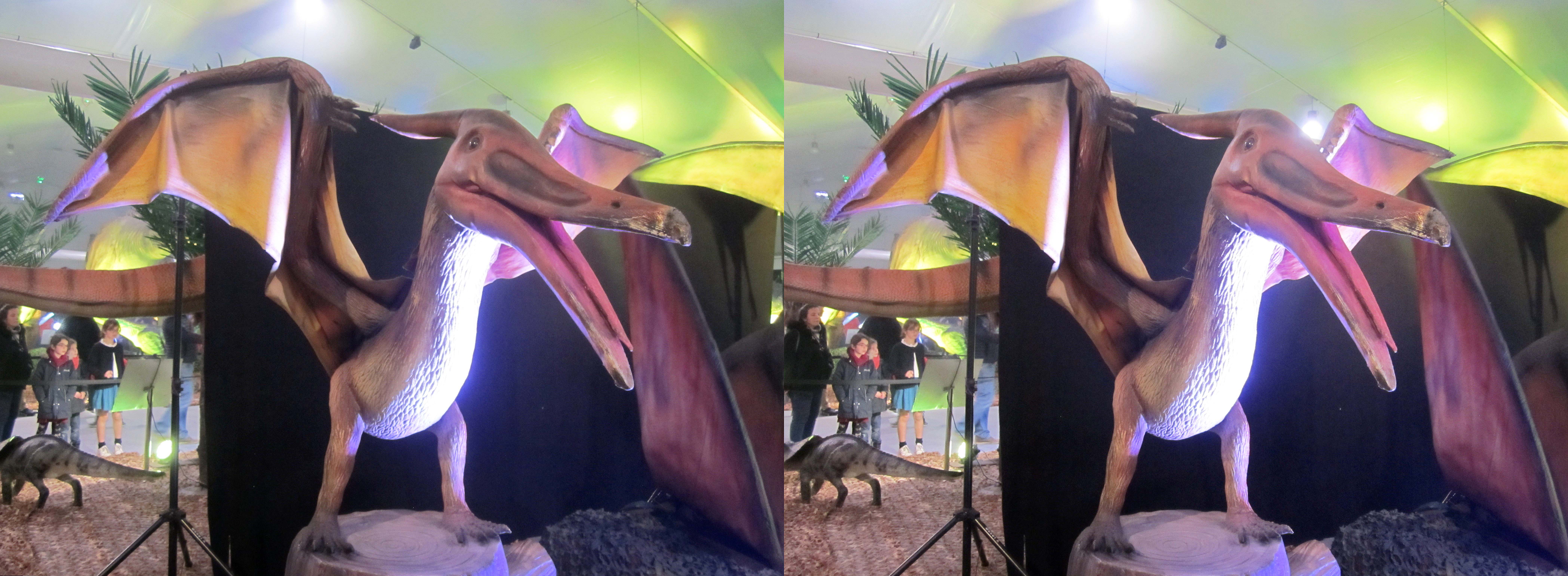 le_monde_des_dinosaures_10
