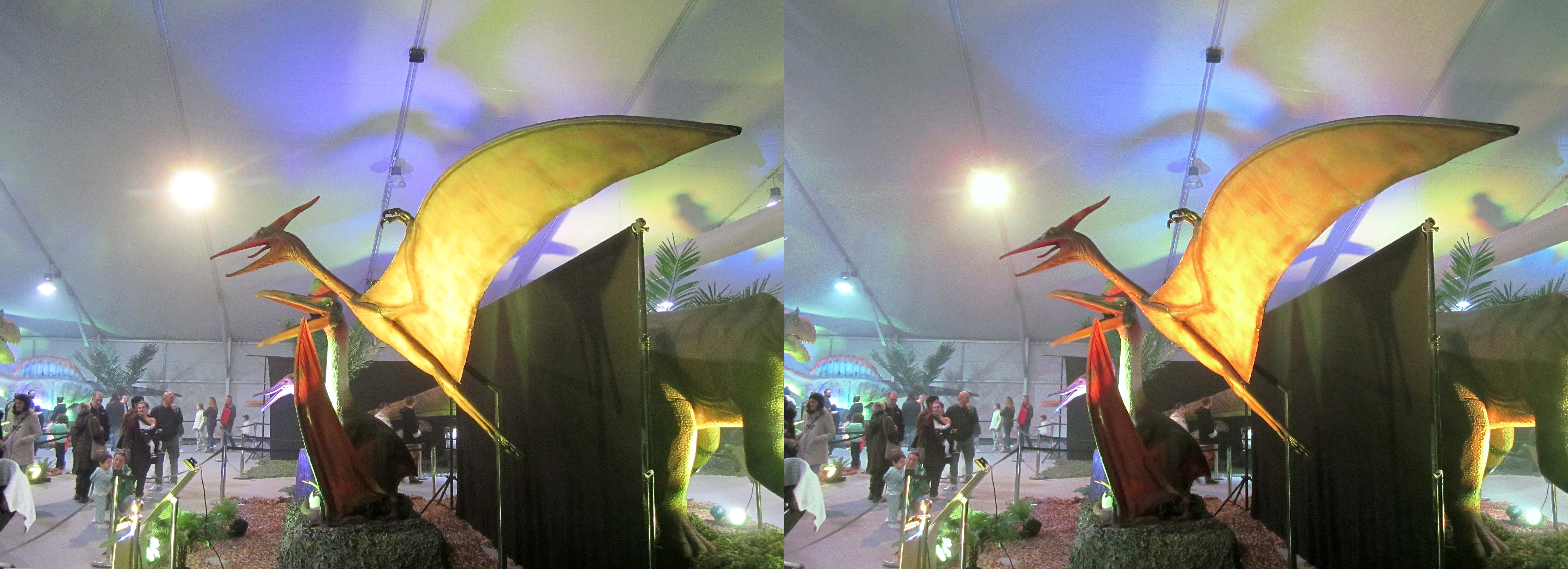 le_monde_des_dinosaures_12