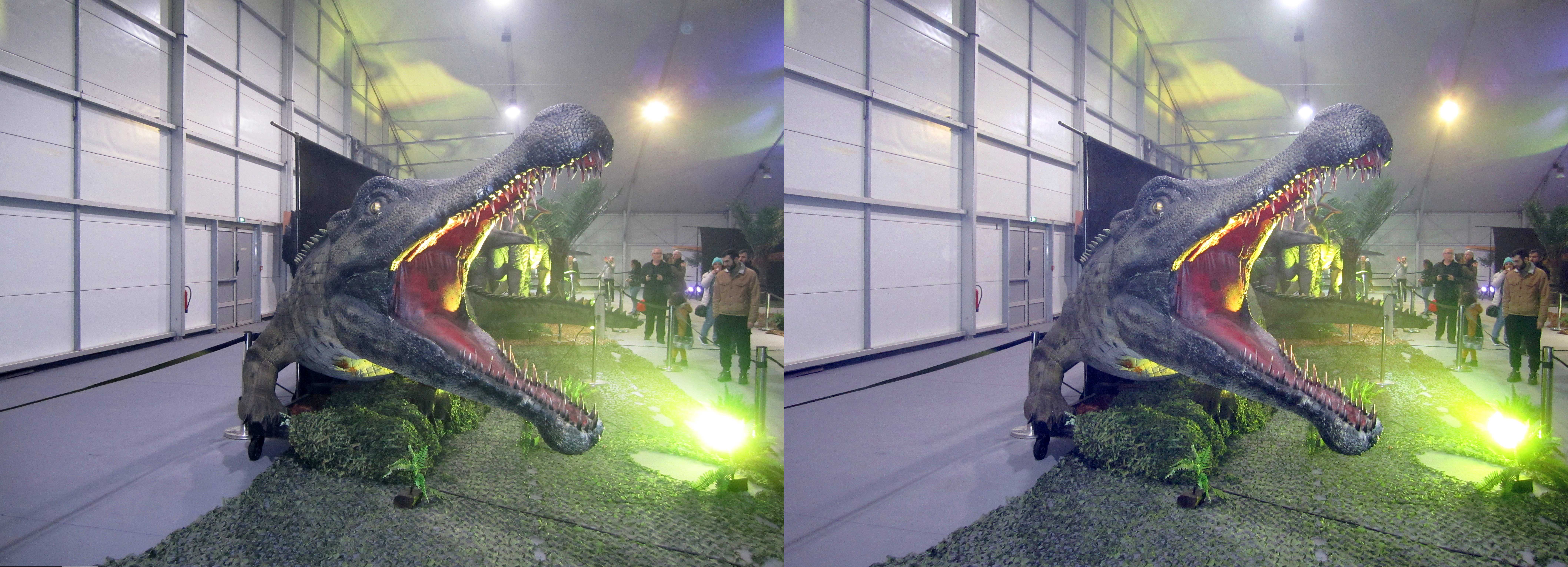 le_monde_des_dinosaures_13