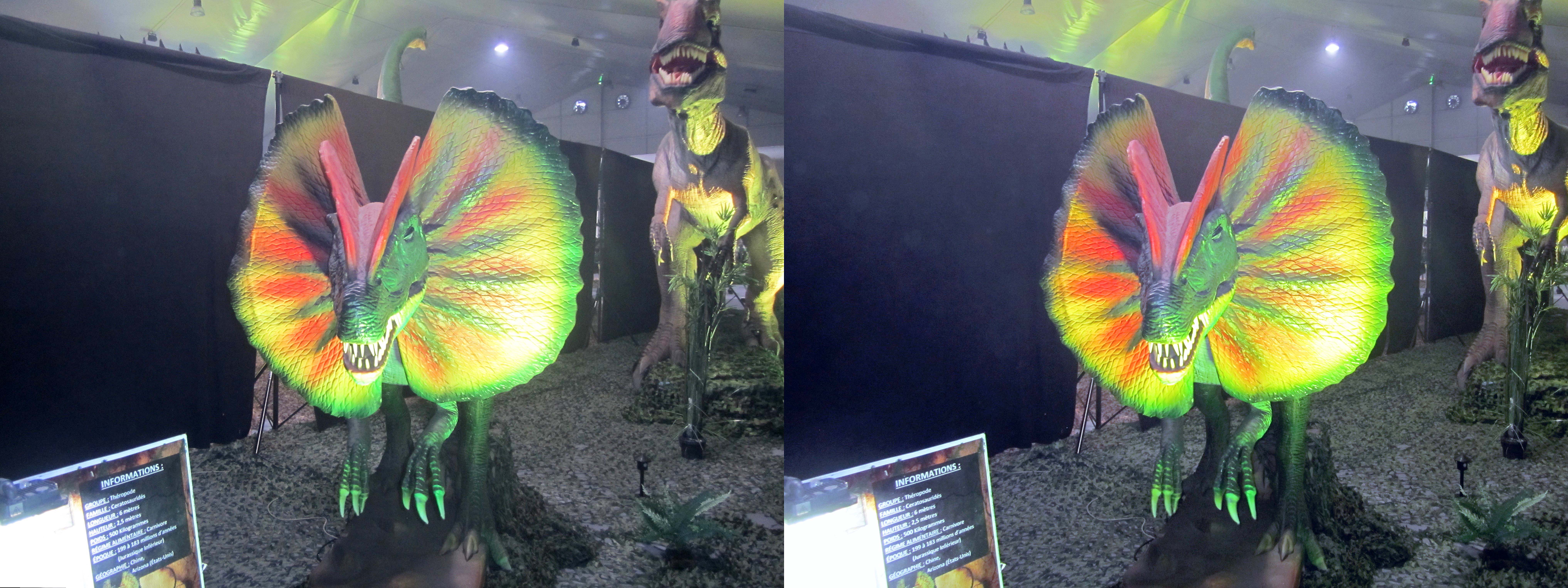 le_monde_des_dinosaures_16