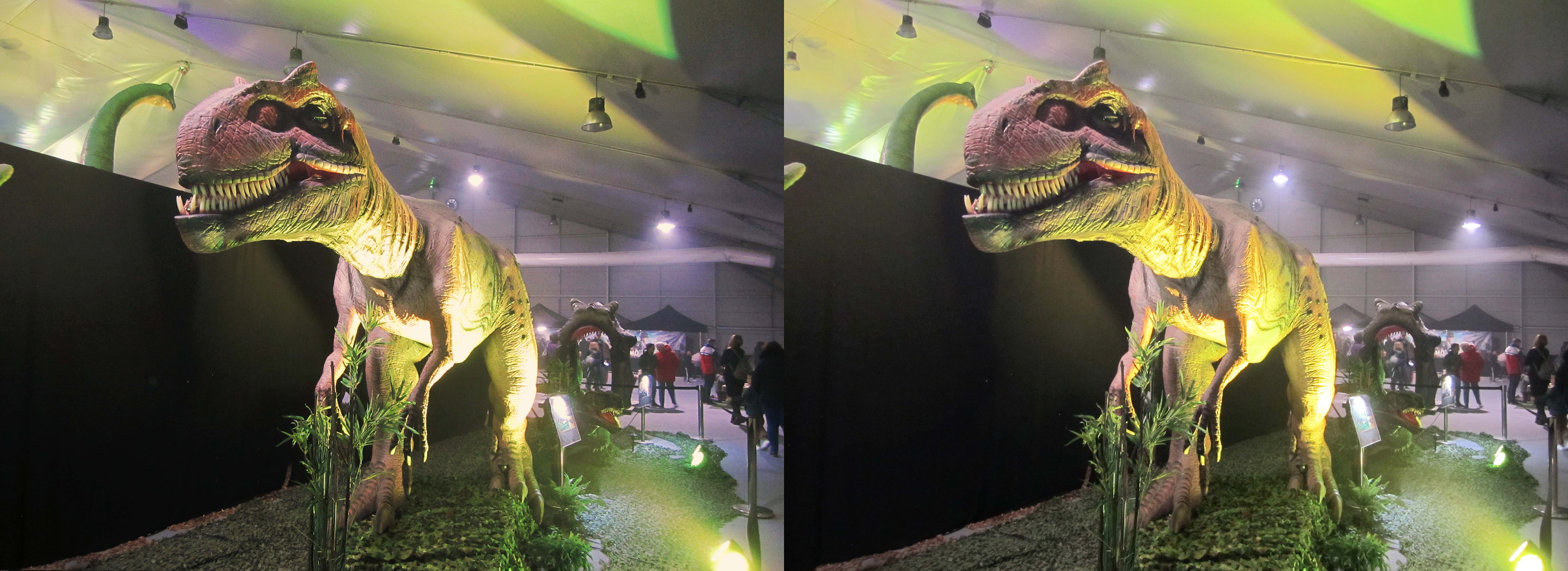 le_monde_des_dinosaures_17