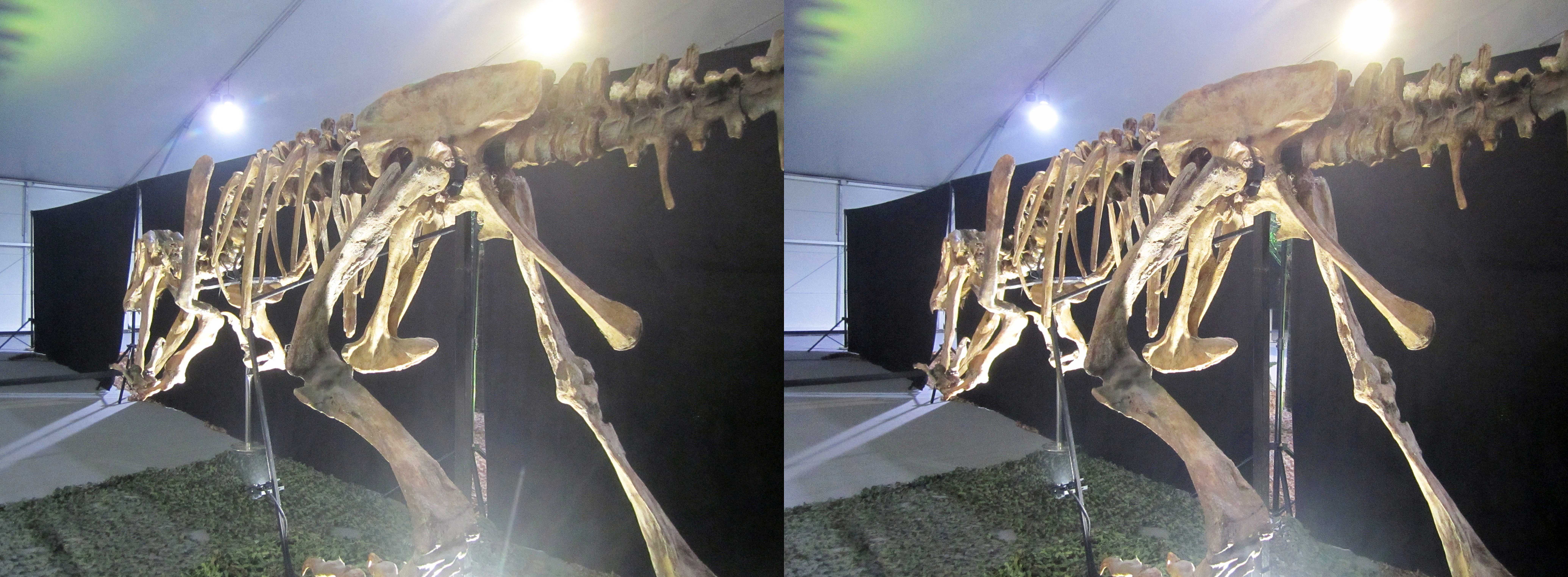 le_monde_des_dinosaures_20