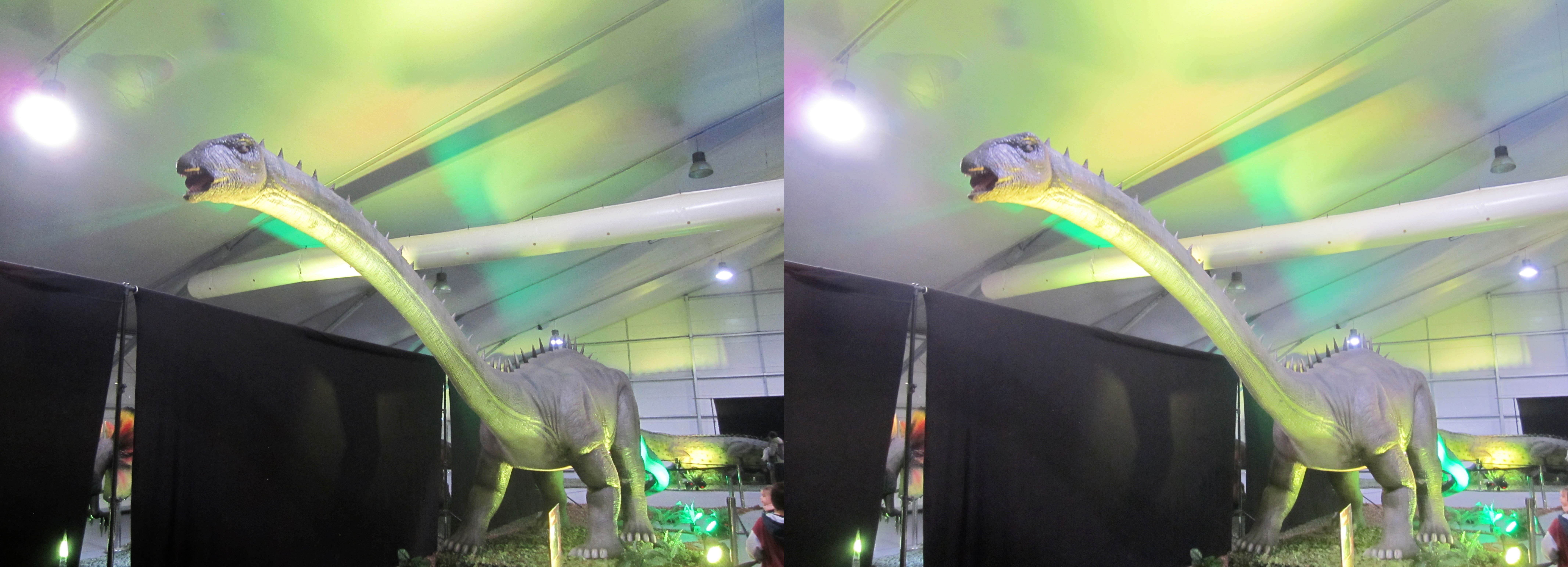le_monde_des_dinosaures_22
